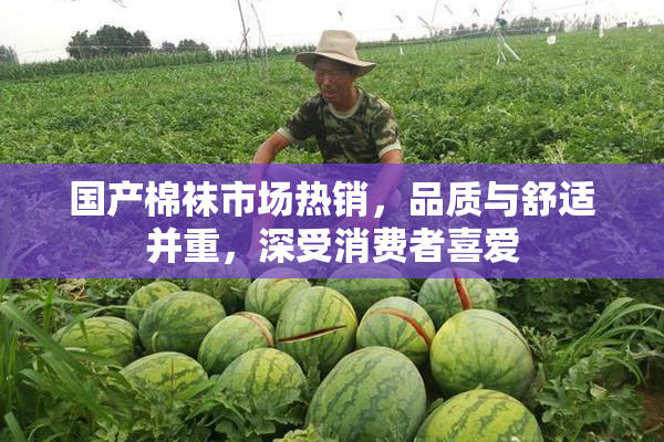 国产棉袜市场热销，品质与舒适并重，深受消费者喜爱