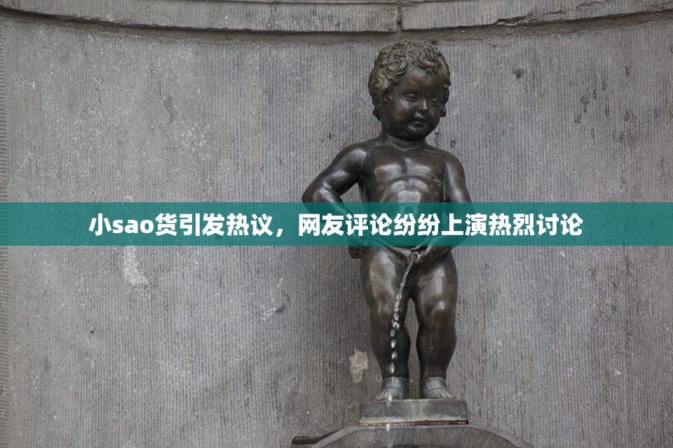 小sao货引发热议，网友评论纷纷上演热烈讨论