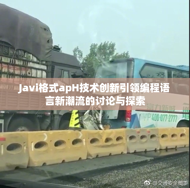 Javi格式apH技术创新引领编程语言新潮流的讨论与探索