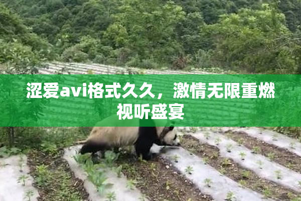 涩爱avi格式久久，激情无限重燃视听盛宴