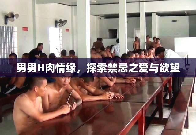 男男H肉情缘，探索禁忌之爱与欲望
