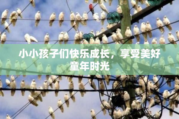 小小孩子们快乐成长，享受美好童年时光