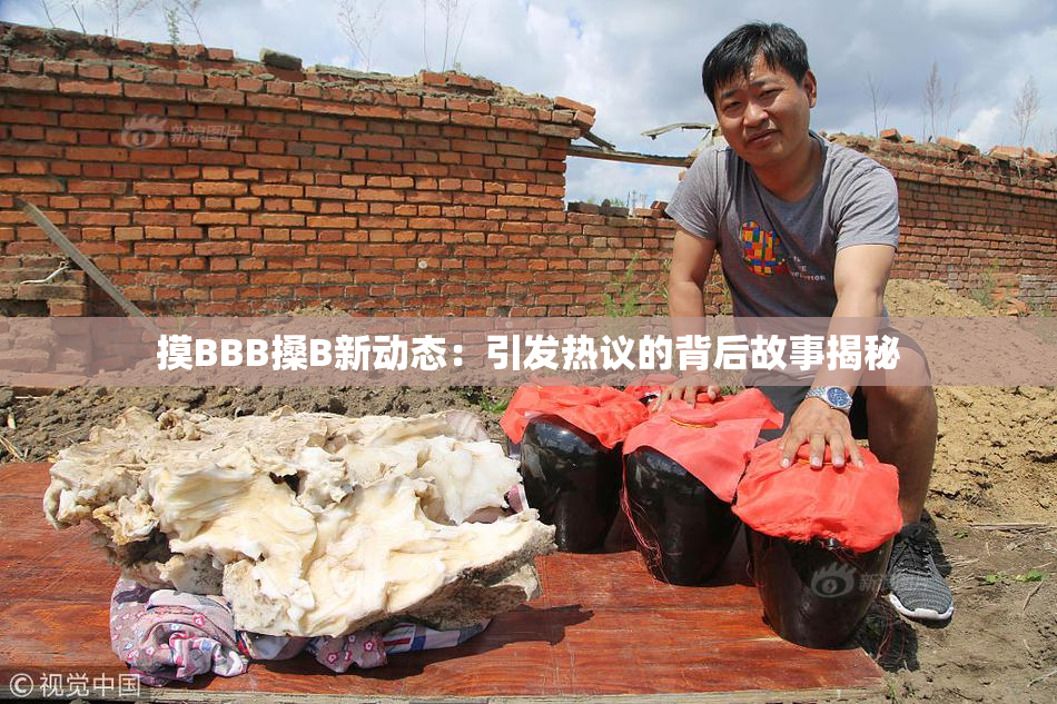 摸BBB搡B新动态：引发热议的背后故事揭秘