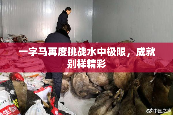 一字马再度挑战水中极限，成就别样精彩