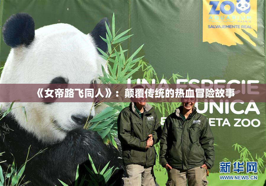《女帝路飞同人》：颠覆传统的热血冒险故事
