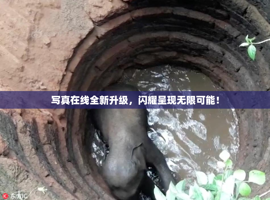 写真在线全新升级，闪耀呈现无限可能！