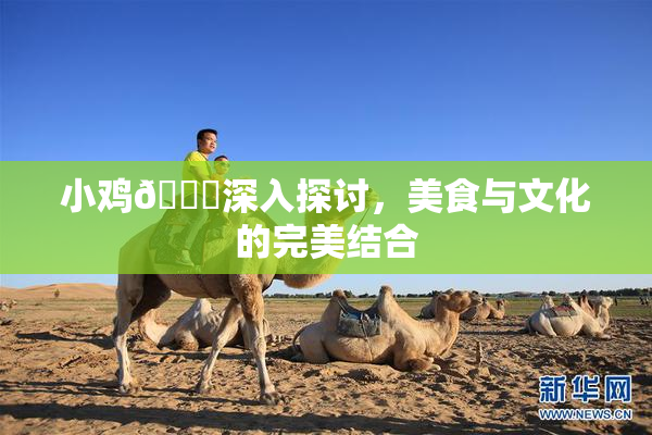 小鸡🐔深入探讨，美食与文化的完美结合