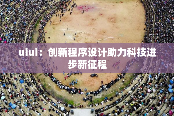 uiui：创新程序设计助力科技进步新征程