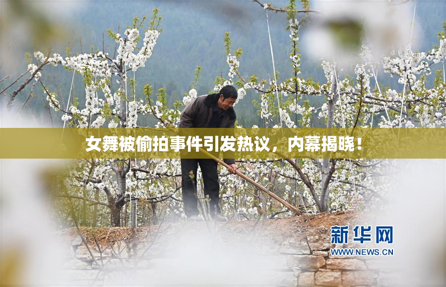 女舞被偷拍事件引发热议，内幕揭晓！