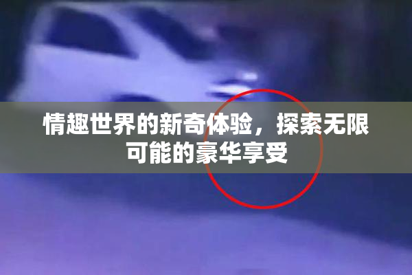 情趣世界的新奇体验，探索无限可能的豪华享受