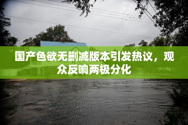 国产色欲无删减版本引发热议，观众反响两极分化