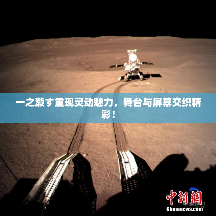 一之濑す重现灵动魅力，舞台与屏幕交织精彩！