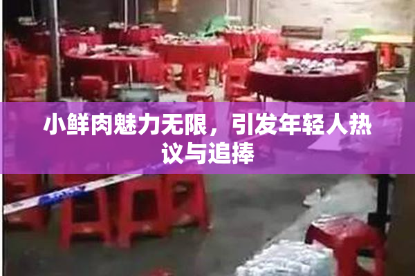 小鲜肉魅力无限，引发年轻人热议与追捧