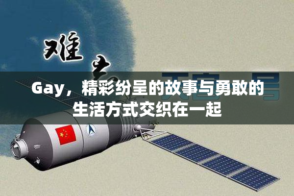 Gay，精彩纷呈的故事与勇敢的生活方式交织在一起