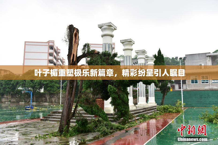 叶子楣重塑极乐新篇章，精彩纷呈引人瞩目