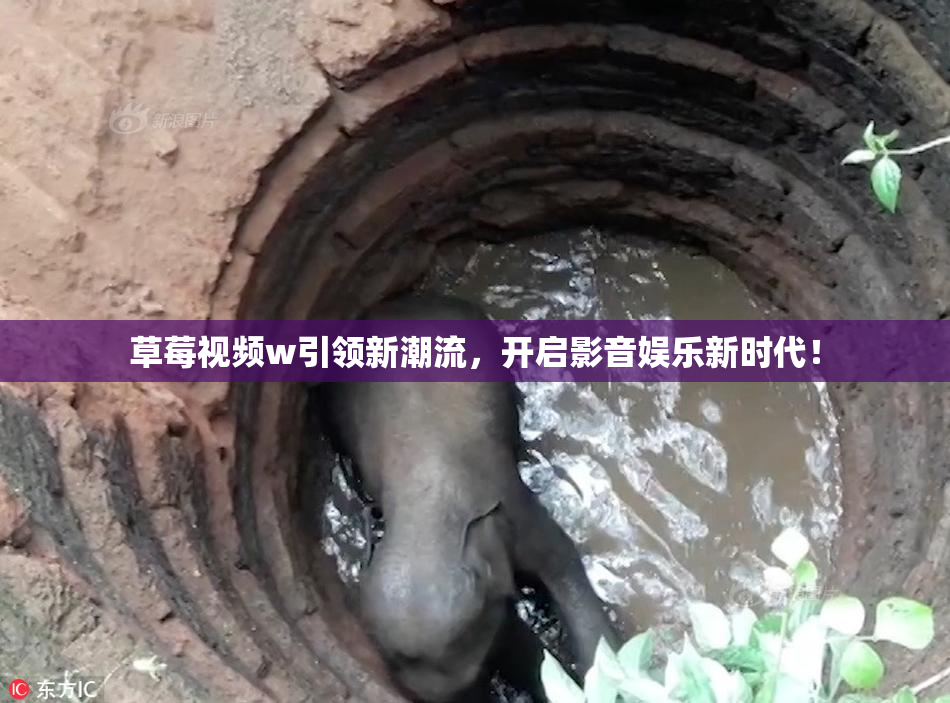 草莓视频w引领新潮流，开启影音娱乐新时代！