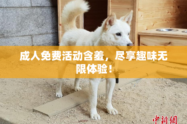 成人免费活动含羞，尽享趣味无限体验！