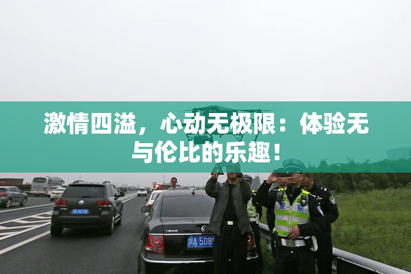 激情四溢，心动无极限：体验无与伦比的乐趣！