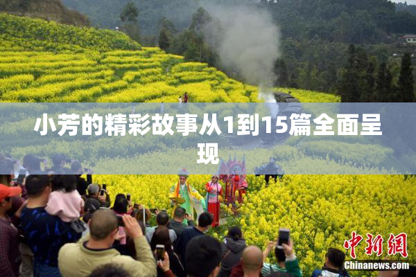 小芳的精彩故事从1到15篇全面呈现