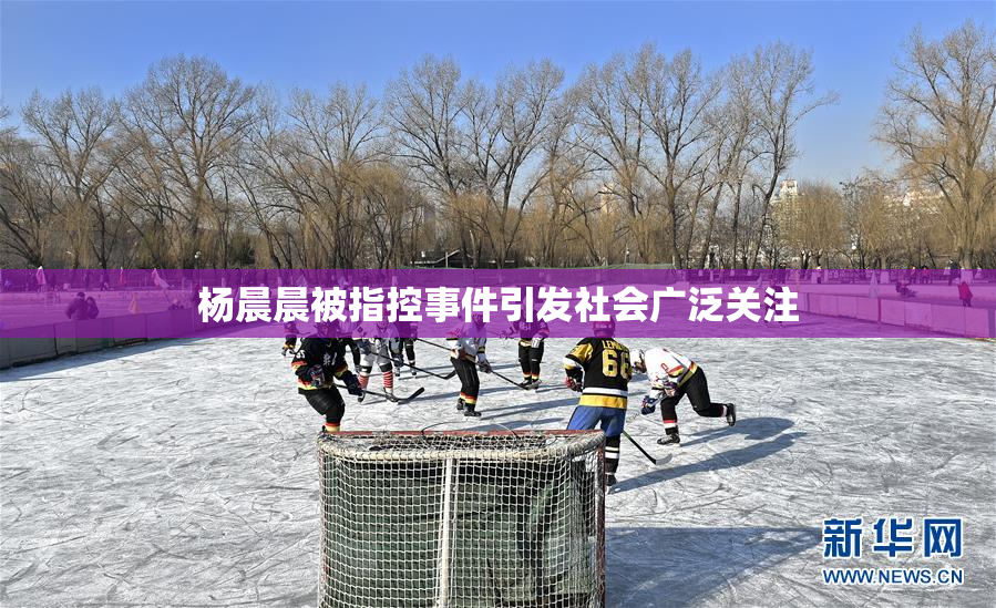 杨晨晨被指控事件引发社会广泛关注