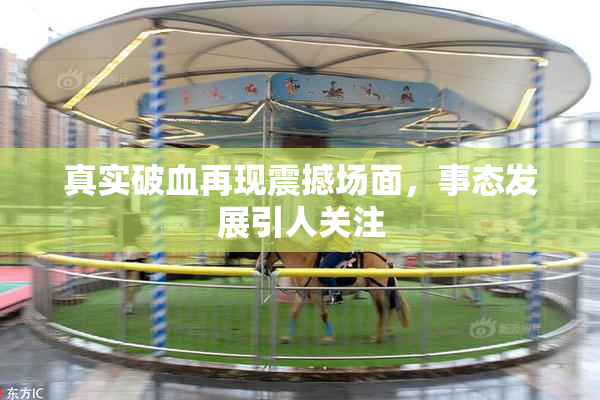 真实破血再现震撼场面，事态发展引人关注