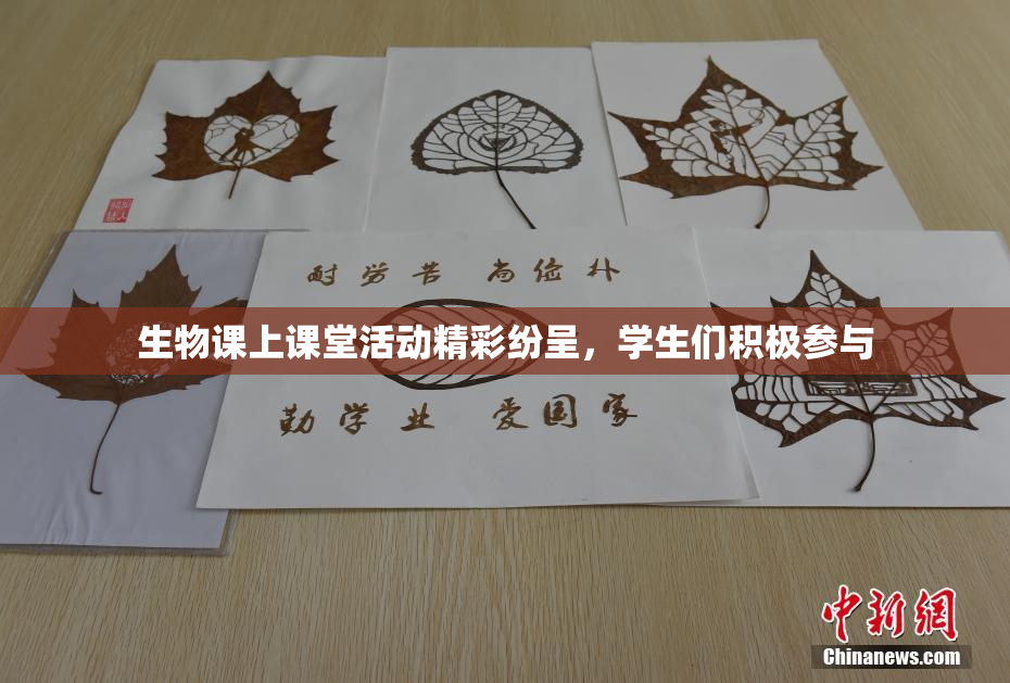 生物课上课堂活动精彩纷呈，学生们积极参与