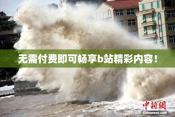 无需付费即可畅享b站精彩内容！