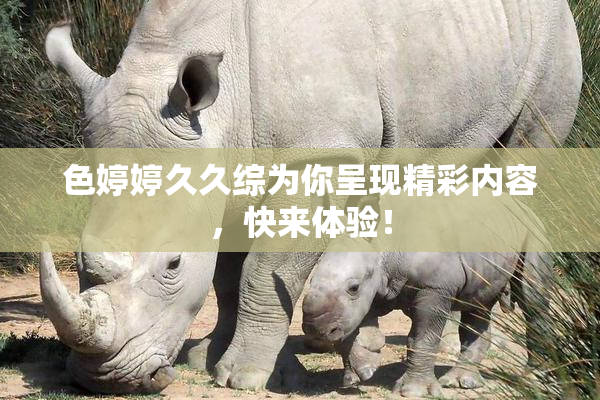 色婷婷久久综为你呈现精彩内容，快来体验！