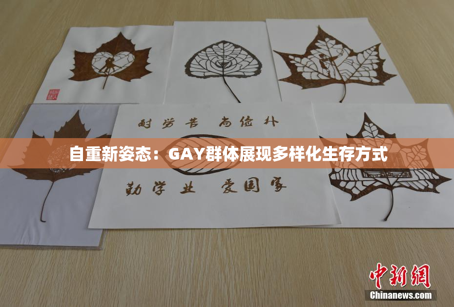 自重新姿态：GAY群体展现多样化生存方式