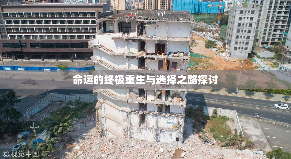 命运的终极重生与选择之路探讨