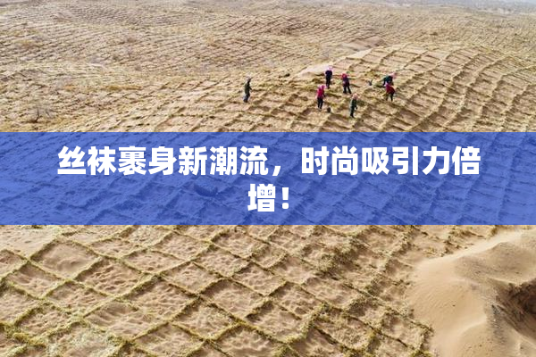 丝袜裹身新潮流，时尚吸引力倍增！