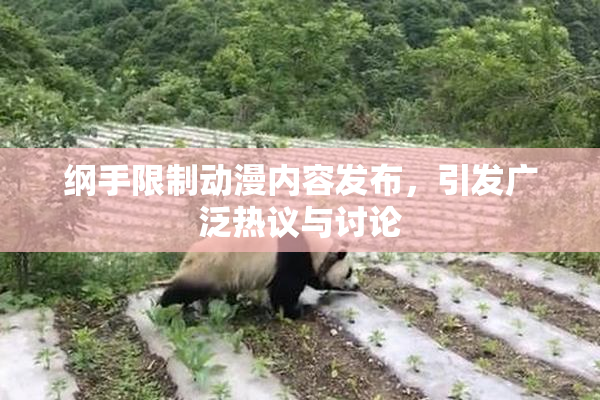 纲手限制动漫内容发布，引发广泛热议与讨论