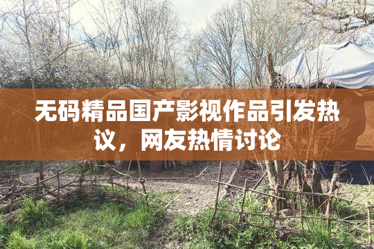 无码精品国产影视作品引发热议，网友热情讨论