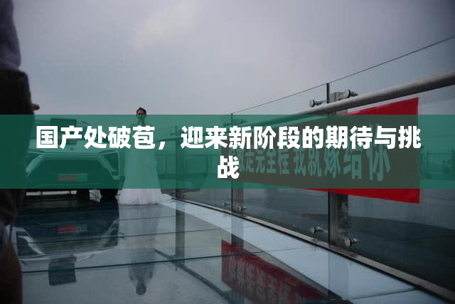 国产处破苞，迎来新阶段的期待与挑战