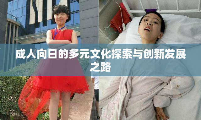 成人向日的多元文化探索与创新发展之路