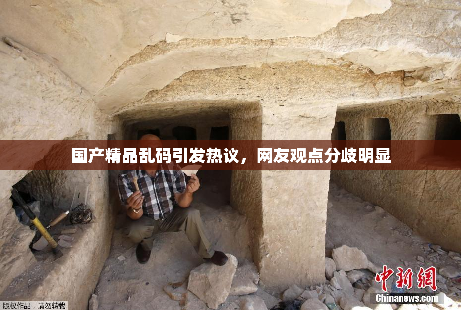 国产精品乱码引发热议，网友观点分歧明显