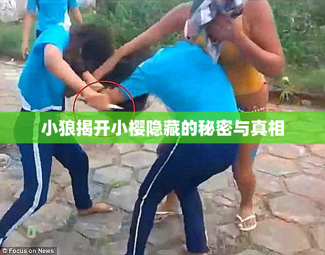 小狼揭开小樱隐藏的秘密与真相