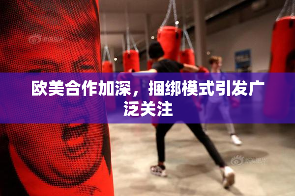 欧美合作加深，捆绑模式引发广泛关注