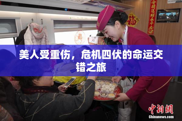 美人受重伤，危机四伏的命运交错之旅