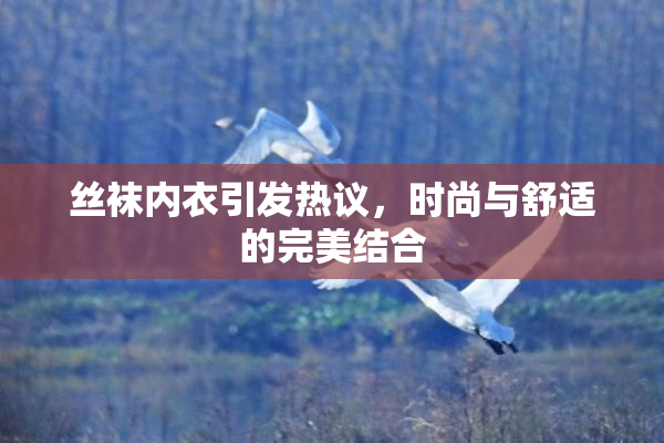 丝袜内衣引发热议，时尚与舒适的完美结合