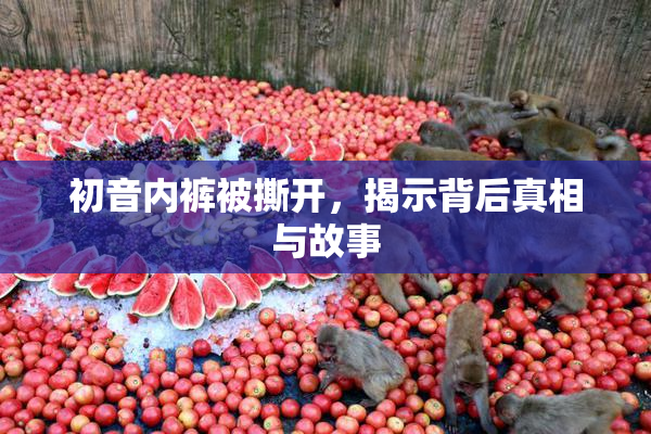 初音内裤被撕开，揭示背后真相与故事