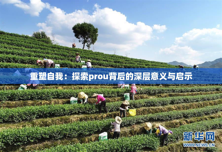 重塑自我：探索prou背后的深层意义与启示