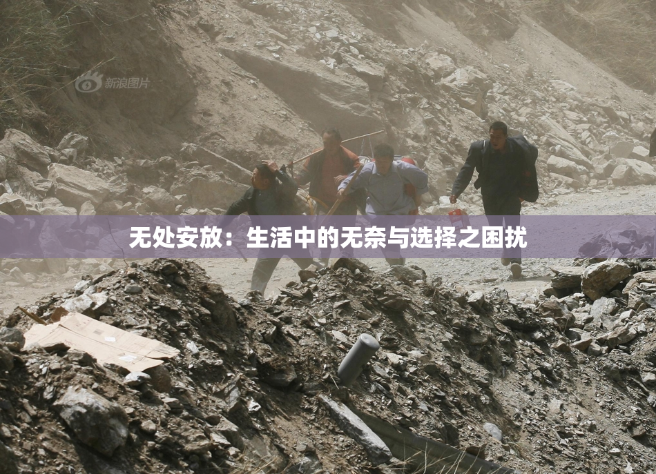 无处安放：生活中的无奈与选择之困扰