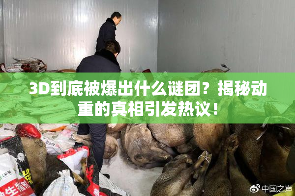 3D到底被爆出什么谜团？揭秘动重的真相引发热议！