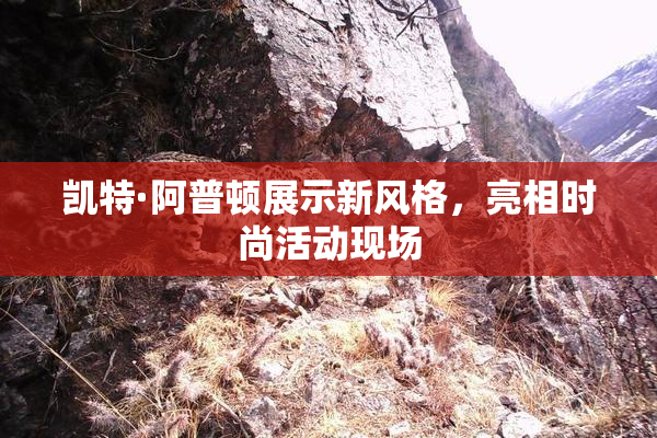 凯特·阿普顿展示新风格，亮相时尚活动现场