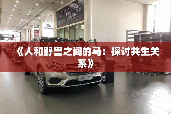 《人和野兽之间的马：探讨共生关系》