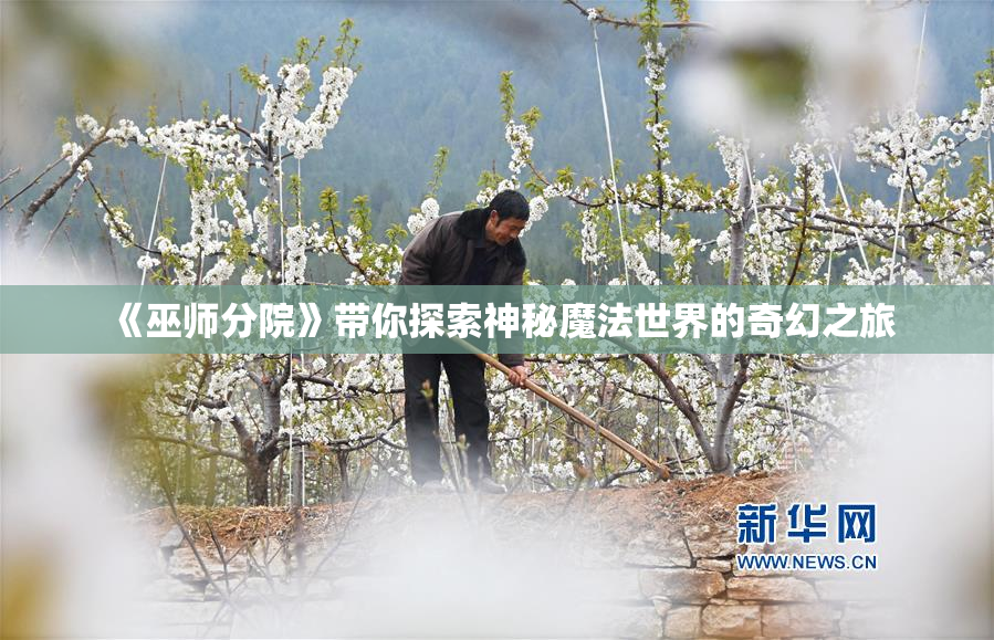 《巫师分院》带你探索神秘魔法世界的奇幻之旅