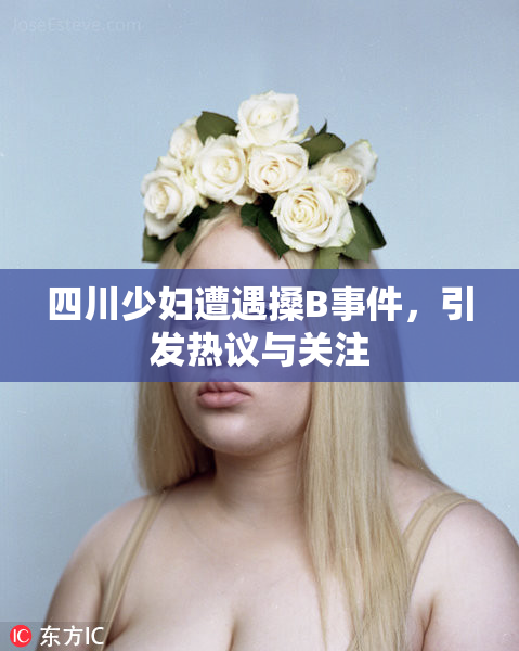 四川少妇遭遇搡B事件，引发热议与关注