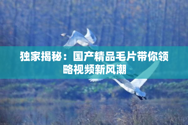 独家揭秘：国产精品毛片带你领略视频新风潮