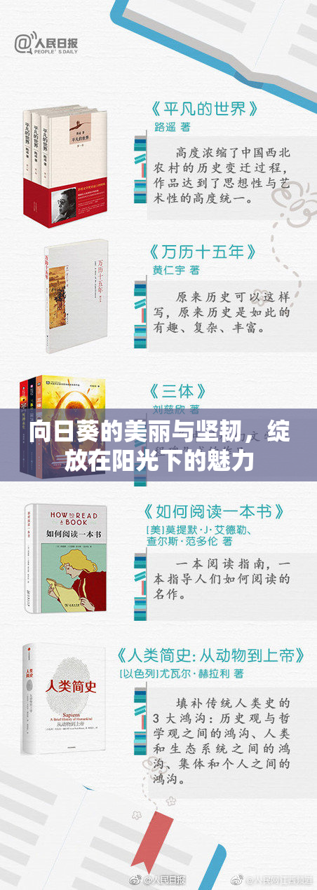 向日葵的美丽与坚韧，绽放在阳光下的魅力